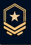 Belt rank badge